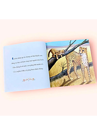 product-img-5
