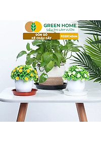 Đĩa Nhựa Lót Chậu Cây Greenhome, Nhiều Kích Cỡ, Hứng Nước Giúp Sạch Bàn, Sàn, Nhựa Nguyên Sinh, Bền, Đẹp, Chóng Rơi Vỡ