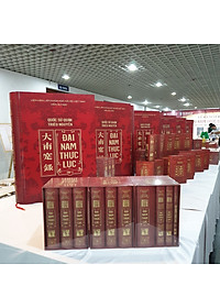 Combo ĐẠI NAM THỰC LỤC - 10 TẬP (Gồm 3 Boxes Bìa Cứng)