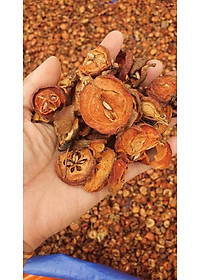 Đặc Sản Kon Tum - Trái Sơn Tra Táo Mèo Khô Hiệu Đặc Sản Và Dược Liệu Kon Tum (1Kg) - OCOP 3 Sao