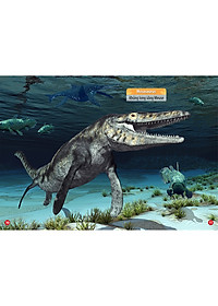 product-img-10