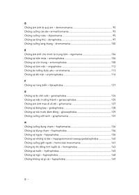 product-img-10