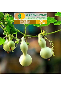 Hạt Giống Bầu Hồ Lô Greenhome, Gói 1g, Dễ Trồng Quanh Năm, Nảy Mầm Cao, Thu Hoạch Nhanh, Năng Suất Cao T11