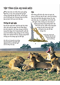 Sách Bách Khoa Tri Thức Về Khám Phá Thế Giới Cho Trẻ Em - Các Loài Mèo Lớn (Tái Bản 2018)