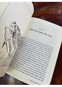 (Tủ sách Khoa học khám phá - Tái bản 2022) DÒNG SÔNG TRÔI KHUẤT ĐỊA ĐÀNG –  Richard Dawkins – Ngô Minh Toàn, Trần Thị Mai Hiên dịch – Nhà xuất bản Trẻ (bìa mềm)