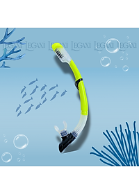 Ống Thở Bơi Lặn Biển Ngắm San Hô Đáy Biển Dã Ngoại Picnic