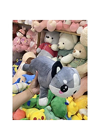 product-img-5