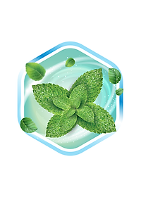 Tã/Bỉm DÁN Caryn Ngày và Đêm hương bạc hà mã mới giá rẻ dành cho người già, người lớn tuổi size M10 miếng