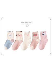 product-img-3