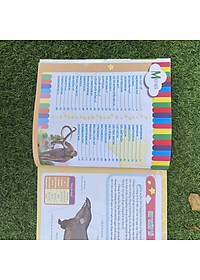 product-img-4
