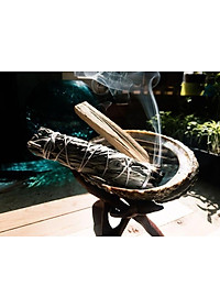Combo 1 bó tuyết tùng 10cm và 1 thanh palo santo trắc xanh 10cm 5gr (Combo05)