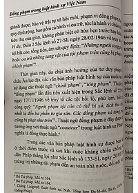 Đồng phạm trong luật hình sự Việt Nam