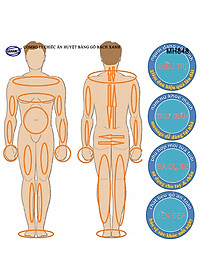 COMBO bộ 13 Dụng Cụ day ấn Huyệt Mát xa toàn thân kiểu Thái bằng gỗ Bách Xanh (MH848) Chăm sóc sức khỏe