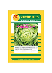 Hạt giống xà lách búp chịu nhiệt Italy VTS38