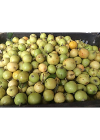 Đặc Sản Kon Tum - Trái Sơn Tra Táo Mèo Khô Hiệu Đặc Sản Và Dược Liệu Kon Tum (1Kg) - OCOP 3 Sao