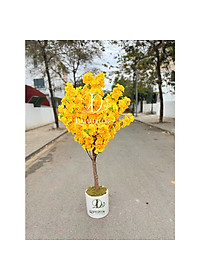 product-img-3