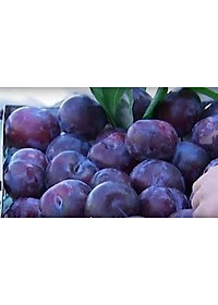 product-img-7