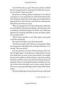 product-img-8