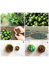 product-img-7
