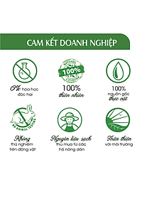 Xịt kháng khuẩn Sả Chanh 24Care - Dung tích 50ml/100ml/250ml - Diệt khuẩn 99,9%, làm sạch, đuổi muỗi, côn trùng