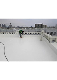 [1 Kg] Sơn Chống Thấm PU (Polyurethane) TAIKOMI PU95 - Chống Thấm Sàn Lộ Thiên Đã Ốp Lát Đi Lại Nhiều