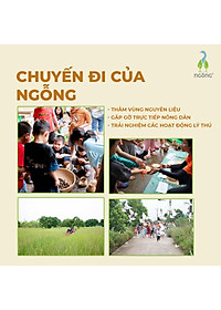 Gạo Ngỗng Sinh Thái ST25 - Gạo Sạch Ruộng Rươi Tôm Gói 700gr