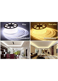 product-img-5