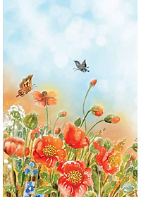 product-img-13