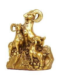 product-img-9
