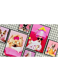 product-img-4