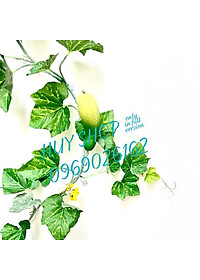 product-img-6
