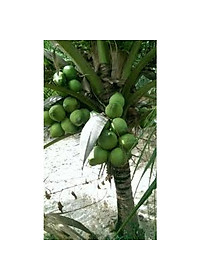 product-img-5