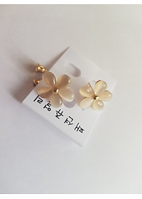 product-img-12