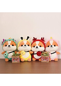product-img-5