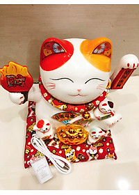 product-img-11