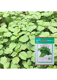 Hạt Giống Dền Xanh Lá Tròn Phú Nông