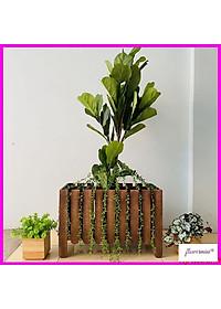 product-img-5