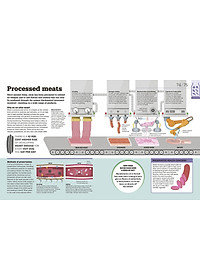 How Food Works: The Facts Visually Explained (How Things Work)