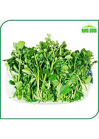 Hạt giống Xà Lách Xoong Sinh Trưởng Khỏe, Trồng Quanh Năm (gói 1 gram) - Hạt Giống Rạng Đông