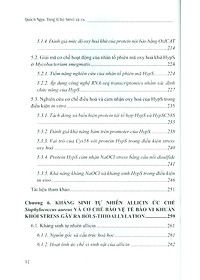 product-img-9