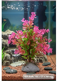 Cây Nhựa Trang Trí Bể Cá Thủy Sinh Lớn Tím Hồng Cao 20cm (Mã PK01)