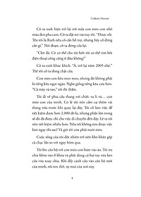 product-img-14
