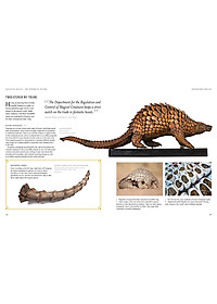 Sách Fantastic Beasts: The Wonder of Nature (Amazing Animals and the Magical Creatures of Harry Potter and Fantastic Beasts) (Paperback)