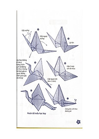 product-img-9