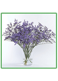 product-img-15