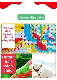 product-img-1