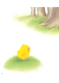 product-img-6