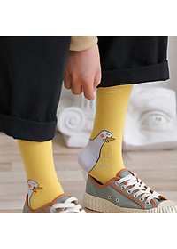 product-img-7