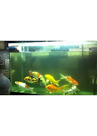 product-img-10