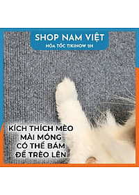 Tấm Mèo Cào Dán Bảo Vệ Nội Thất, Tấm Cào Móng Dán Tường